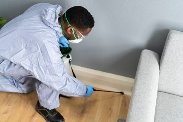 Best Real Estate Pest Inspections  in Ellsworth, KS